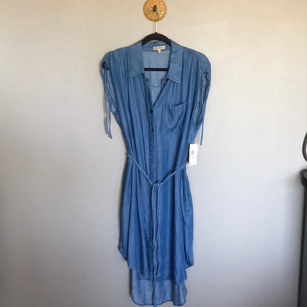 Democracy dress